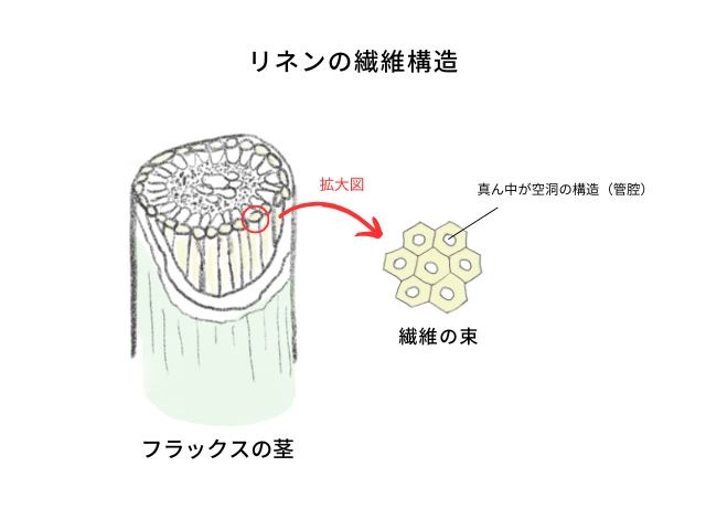 リネンの繊維構造